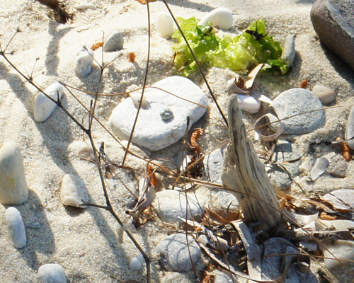 Sonstige Bilder